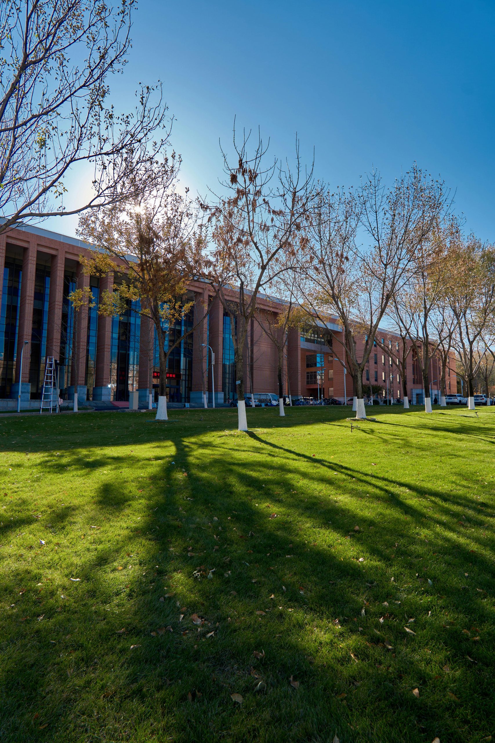 pexels-cobb-gk-773896246-19193975